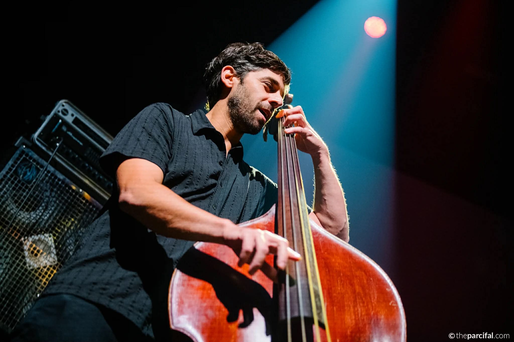 jazz1242